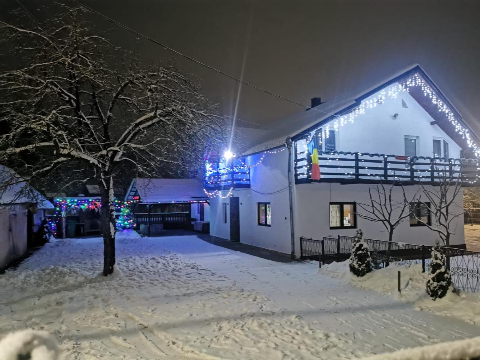 Villa Casa Roxana Viseu de Mijloc Exterior foto