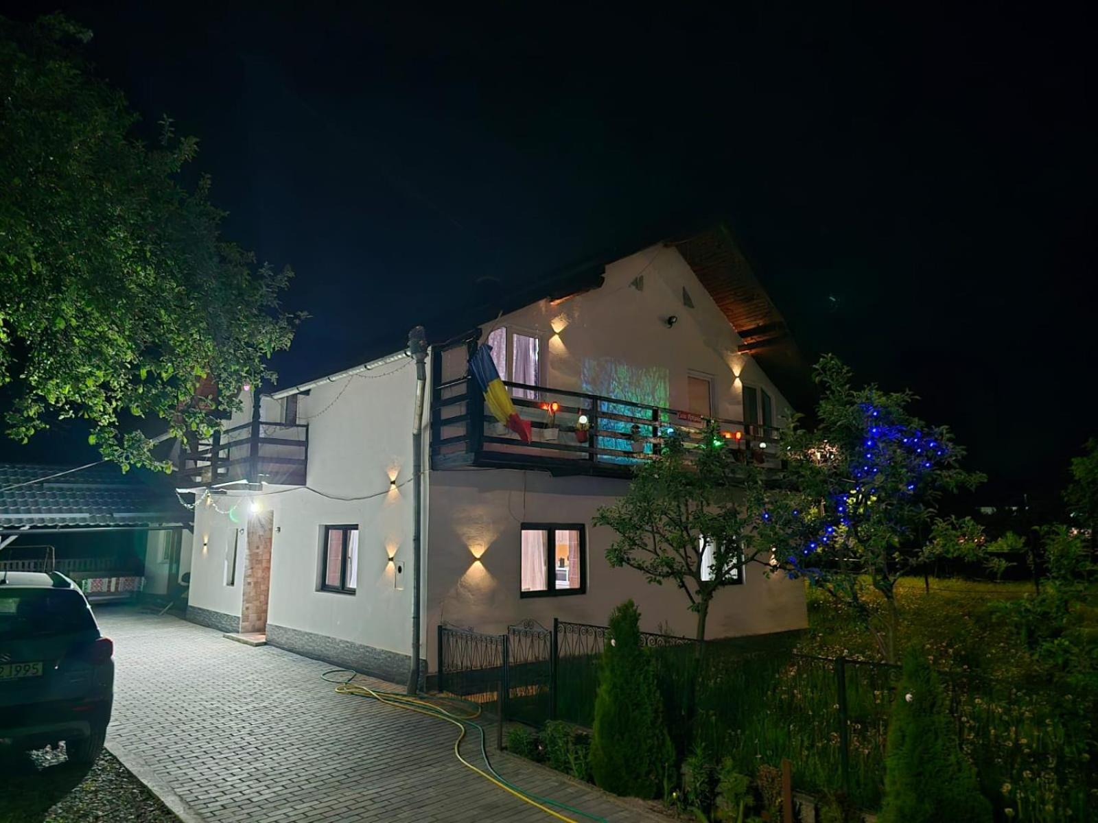 Villa Casa Roxana Viseu de Mijloc Exterior foto